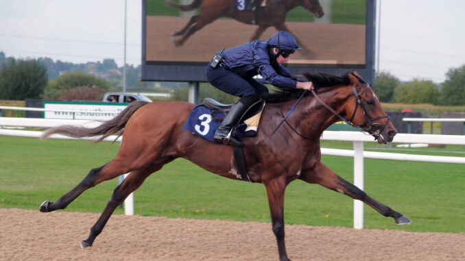 City of Troy in full flight in his Southwell workout in company