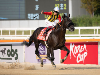 Crown Pride wired the Korea Cup with Takeshi Yokoyama