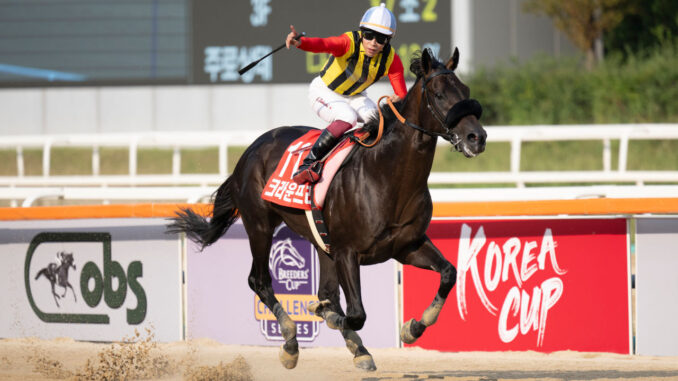 Crown Pride wired the Korea Cup with Takeshi Yokoyama