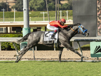 First Peace California Crown Eddie D S. (G3) at Santa Anita Park