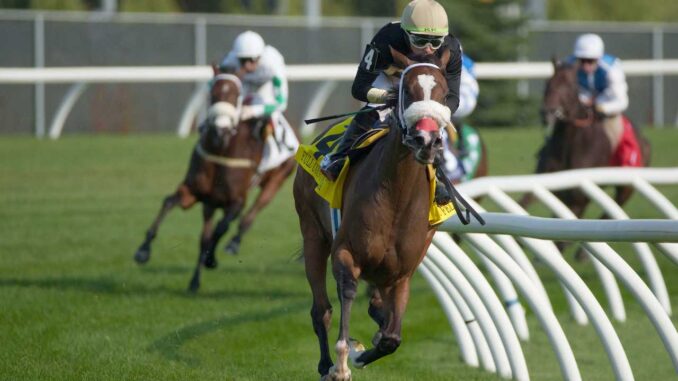 Full Count Felicia wins the Taylor S. at Woodbine