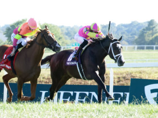 Grand Sonata wins the Kentucky Turf Cup (G1) at Kentucky Downs