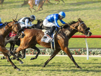 Hang the Moon wins the John C. Mabee Stakes (G2) at Del Mar.