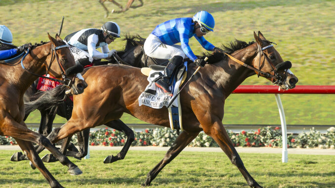 Hang the Moon wins the John C. Mabee Stakes (G2) at Del Mar.