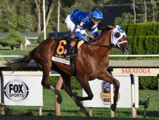 Highland Falls responded to aggressive tactics to score a new career high in the Jockey Club Gold Cup