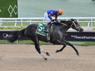 Soul of an Angel wins the Princess Rooney S. (G3) at Gulfstream Park