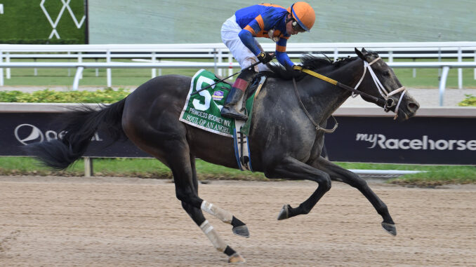 Soul of an Angel wins the Princess Rooney S. (G3) at Gulfstream Park