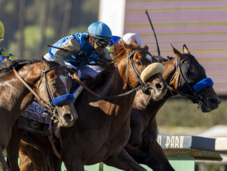 Subsanador (center) wins the inaugural California Crown Stakes (G1) at Santa Anita Park, barely outfinishing National Treasure (inside), and Newgate (outside).