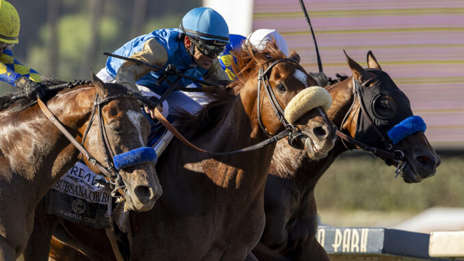 Subsanador (center) wins the inaugural California Crown Stakes (G1) at Santa Anita Park, barely outfinishing National Treasure (inside), and Newgate (outside).