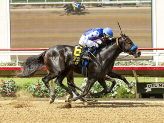 Tenma noses out Vodka With a Twist, inside, to win the Del Mar