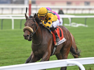 Far Bridge wins the Joe Hirsch at Aqueduct