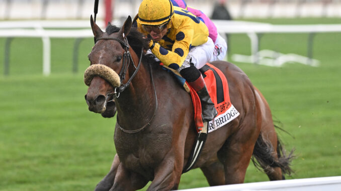 Far Bridge wins the Joe Hirsch at Aqueduct