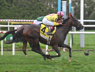 Zulu Kingdom wins the PIlgrim at Aqueduct