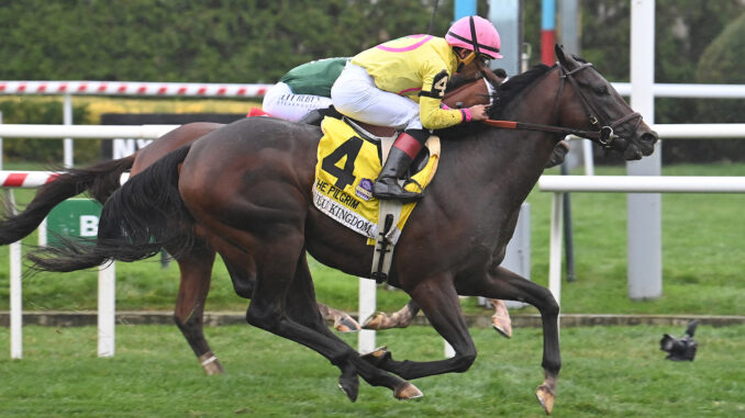 Zulu Kingdom wins the PIlgrim at Aqueduct