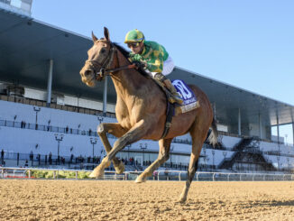 Chancer McPatrick wins the Champagne at Aqueduct