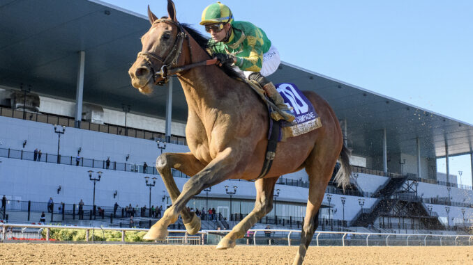 Chancer McPatrick wins the Champagne at Aqueduct