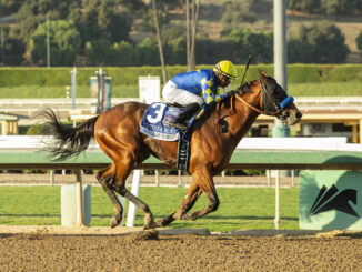 Citizen bull wins the American Pharoah (G1) at Santa Anita