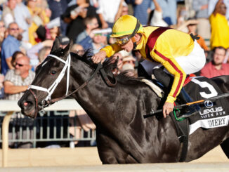 Emery rolled to victory as the favorite in the Raven Run