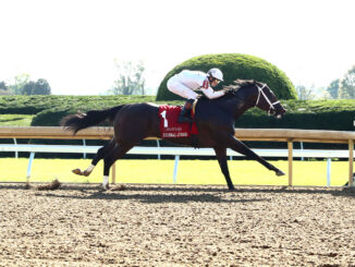 Federal Judge wins the Ogden Phoenix (G2) at Keeneland