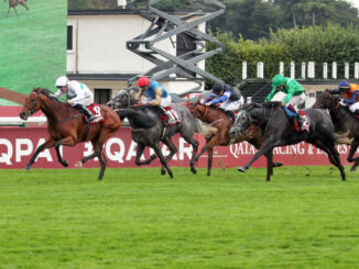 Friendly Soul scores a new career high in the Prix de l'Opera