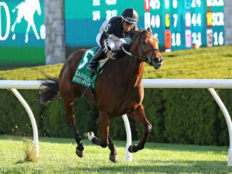 Future Is Now sets a stakes record in the Franklin at Keeneland