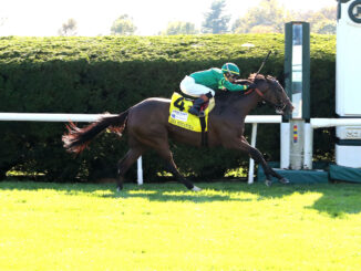 Gina Romantica wins the First Lady S. (G1) at Keeneland