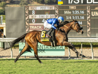 Hang the Moon wins Rodeo Drive S. (G2) at Santa Anita