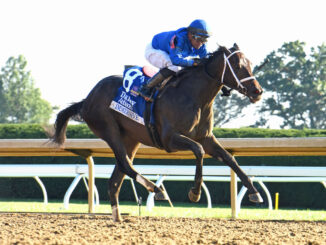 Immersive wins the Alcibiades (G1) at Keeneland