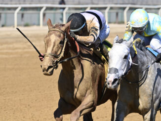 Raging Sea (left) outdueled Batucada in the Beldame