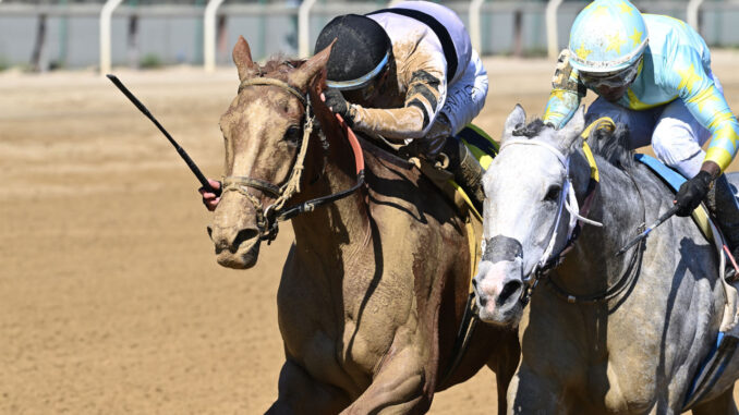 Raging Sea (left) outdueled Batucada in the Beldame