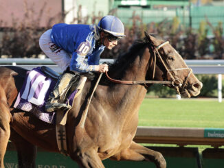 Sovereignty winning the Street Sense (G3) at Churchill Downs (Photo by Coady Media)