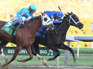 Tarifa wins the Mother Goose at Aqueduct.