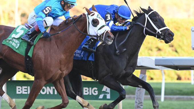 Tarifa wins the Mother Goose at Aqueduct.