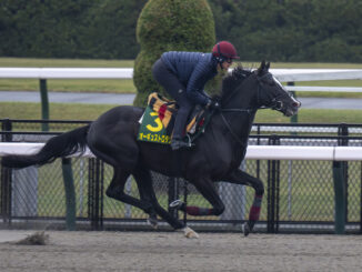 Auguste Rodin breezes ahead of the Japan Cup