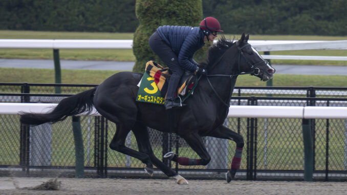 Auguste Rodin breezes ahead of the Japan Cup