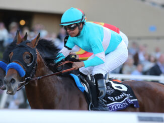 Citizen Bull wins the Breeders Cup Juvenile at Del Mar.