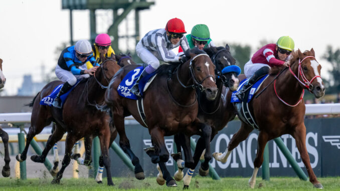 Do Deuce edges Durezza (center) and Shin Emperor (right) in the Japan Cup (Photo by Tomoya