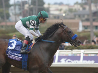 Full Serrano winning the Breeders' Cup Dirt Mile (G1) at Del Mar (Photo by Horsephotos.com)