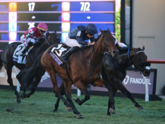 Henri Matisse wins the Breeders Cup Juvenile Turf at Del Mar.