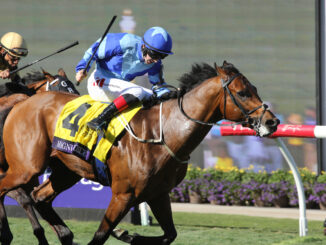 Magnum Force wins the Breeders' Cup Turf Sprint at Del Mar.