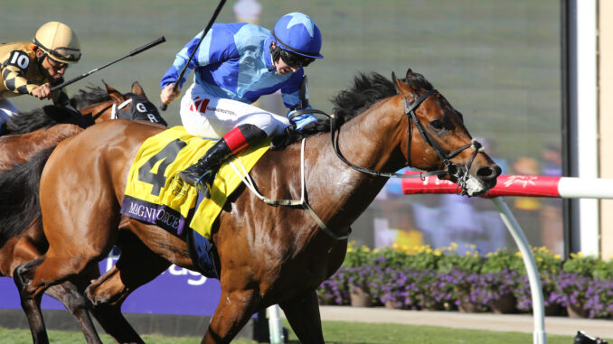 Magnum Force wins the Breeders' Cup Turf Sprint at Del Mar.