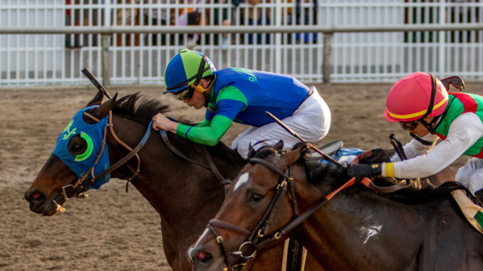 Miles Ahead wears down Montalcino in the Thanksgiving Classic