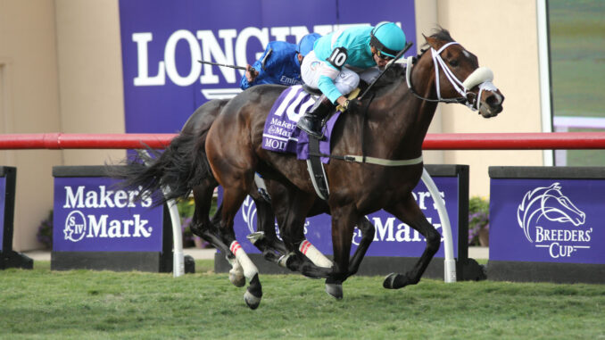 Canadian star Moira prevailed in the Breeders' Cup Filly & Mare Turf