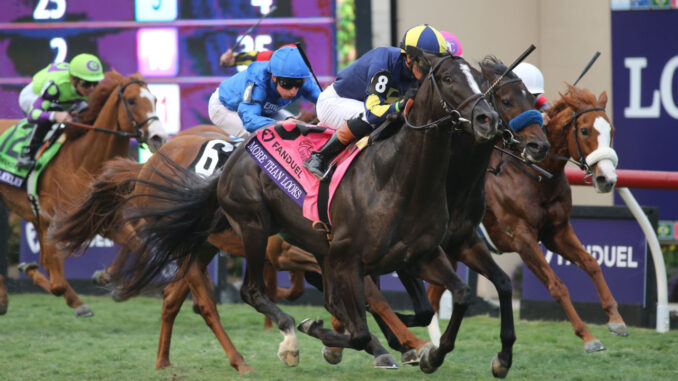 More Than Looks mows them down late in the Breeders' Cup Mile