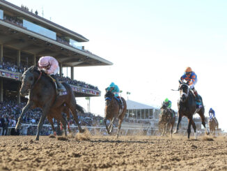 Sierra Leone winning the Breeders' Cup Classic (G1) at Del Mar (Photo by Horsephotos.com)