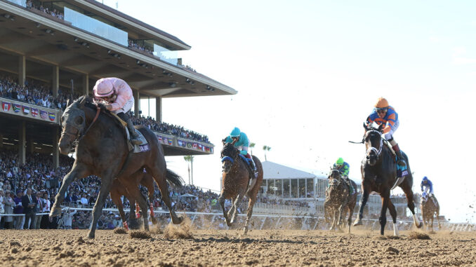 Sierra Leone winning the Breeders' Cup Classic (G1) at Del Mar (Photo by Horsephotos.com)