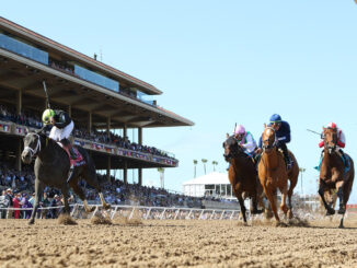 Soul of an Angel winning the Breeders' Cup Filly & Mare Sprint (G1) at Del Mar (Photo by Horsephotos.com)