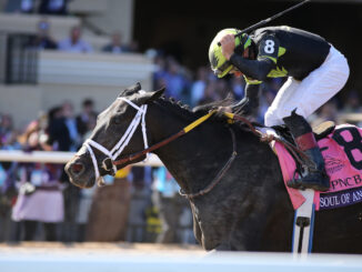 Soul of an Angel wins the Breeders Cup Filly and Mare Sprint at Del Mar.