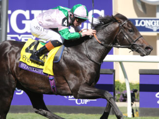 Starlust wins the Breeders Cup Turf Sprint at Del Mar Race