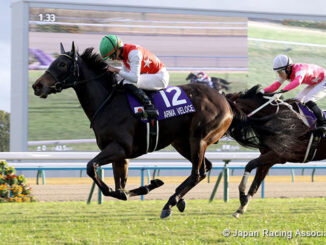 Arma Veloce upsets the Hanshin Juvenile Fillies at Kyoto